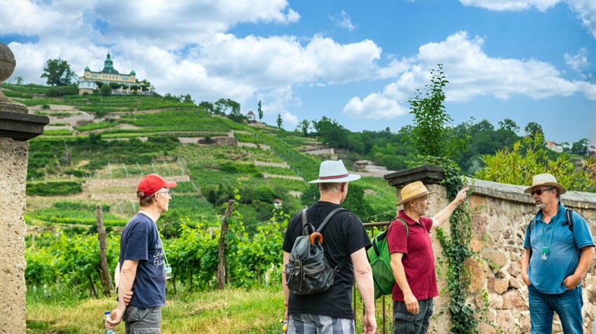 Weinbergwanderung Weinbergwanderung