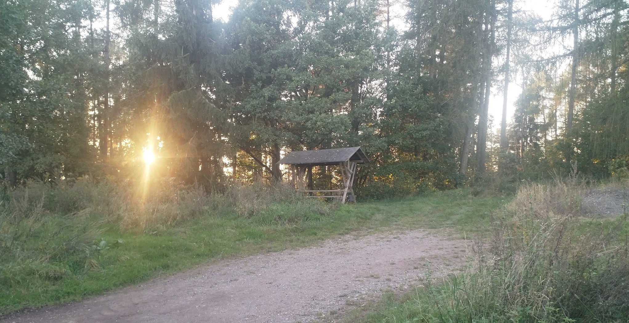 Rastplatz Freitagstrasse