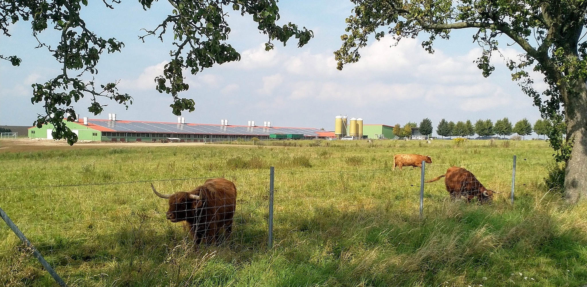 Landidylle Schönberg