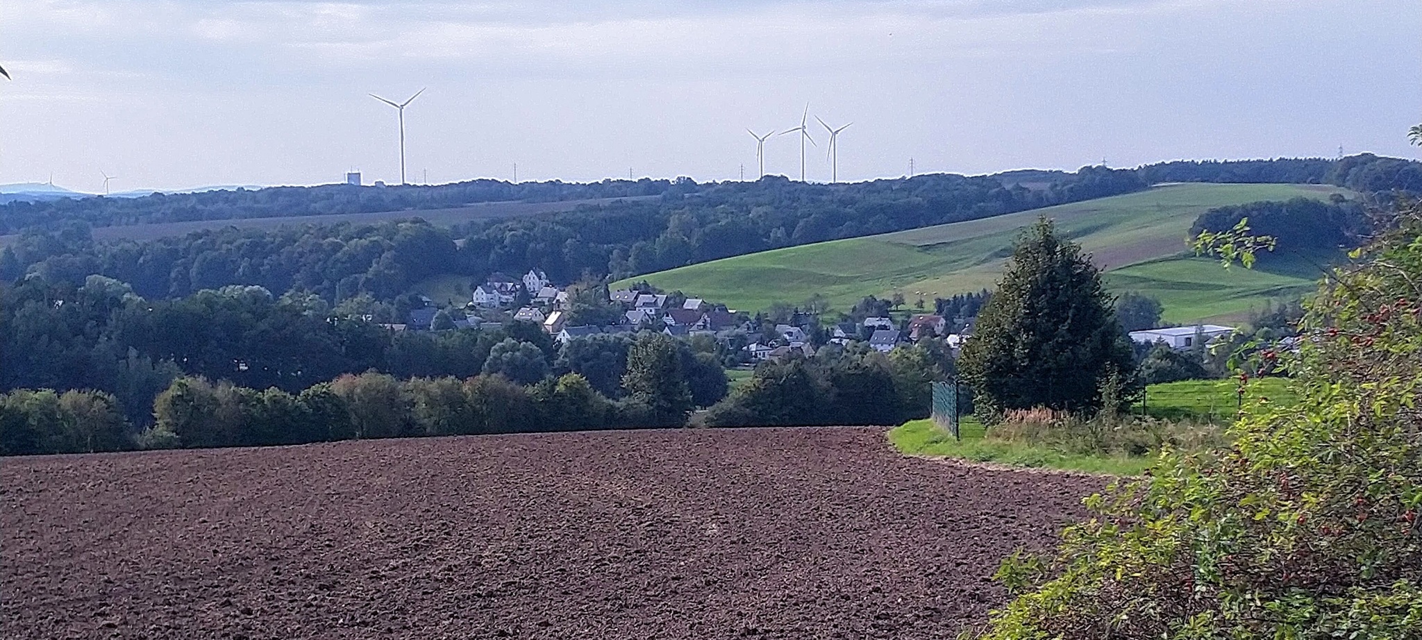 Blick auf Mülsen