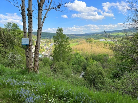 Aussicht Hexentanzplatz Olbernhau