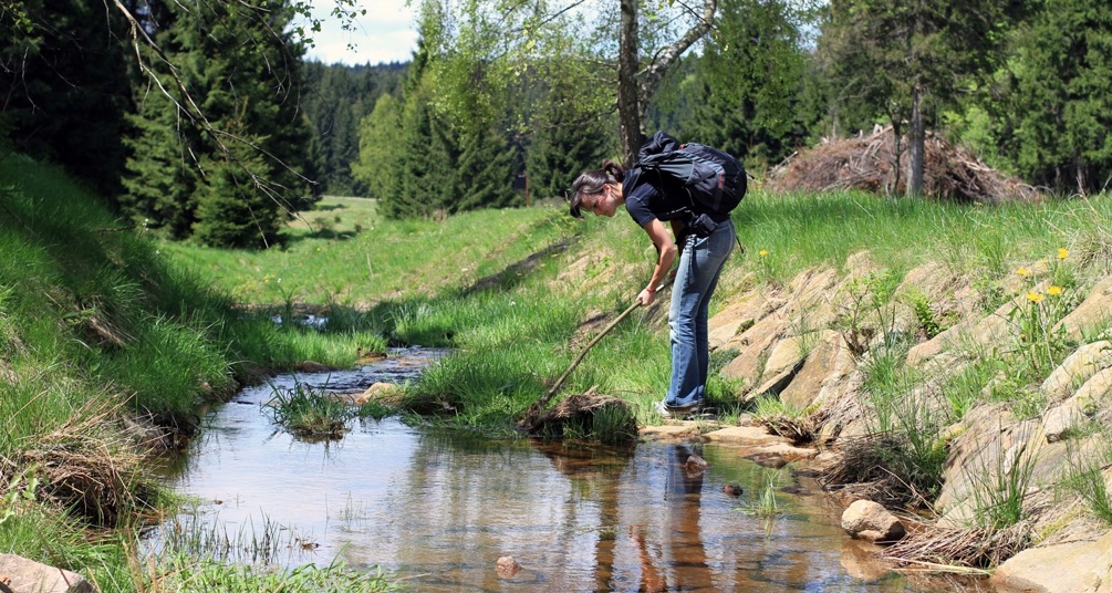 Natur Holzhau Natur Holzhau
