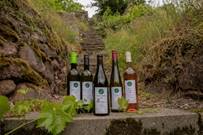 Wein von Fehrmann