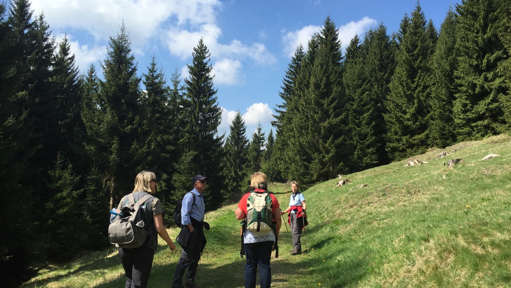 Wanderung Holzhau Wanderung Holzhau