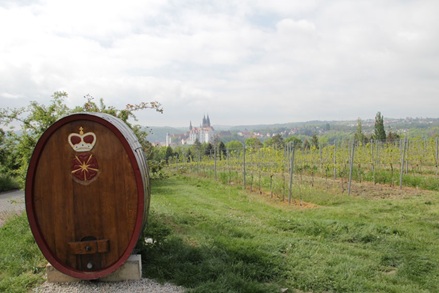 Weinberg Schloss Proschwitz
